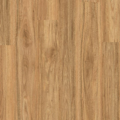 Titan Glue Stonewashed Spotted Gum