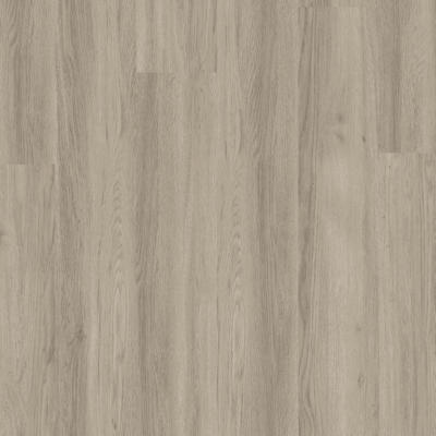 Titan Glue Silver Grey Ash