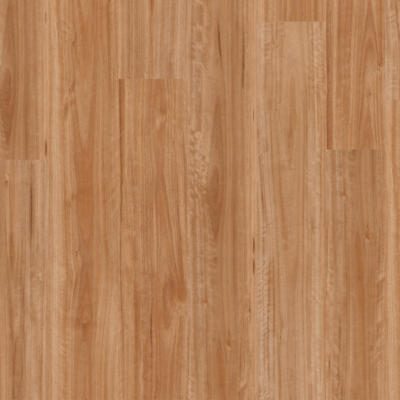 Titan Hybrid Blackbutt