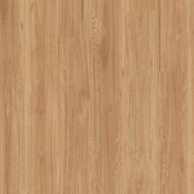Titan Hybrid Bleached Blackbutt