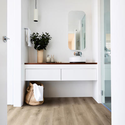 Titan Hybrid Moonlight Gum bathroom
