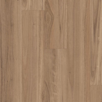 Titan Hybrid XXL Blackbutt Select sample