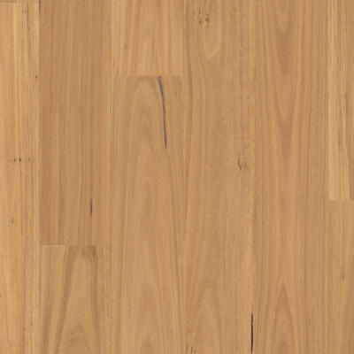 Quality Laminate Wood Flooring Range | Premium Floors Australia